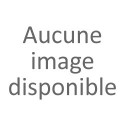 Sans le google store